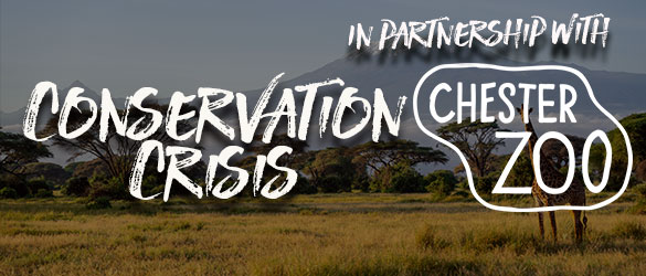 Conservation Crisis live escape room at Escapism Chester